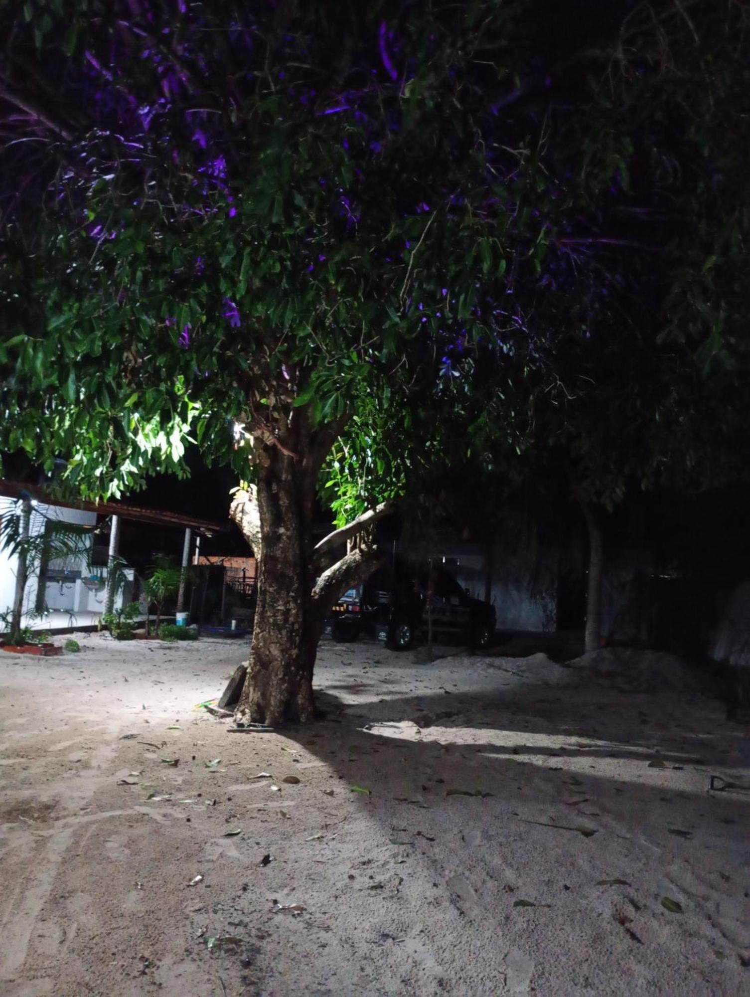 Hostel E Camping Na Rua Das Flores Santo Amaro do Maranhao エクステリア 写真
