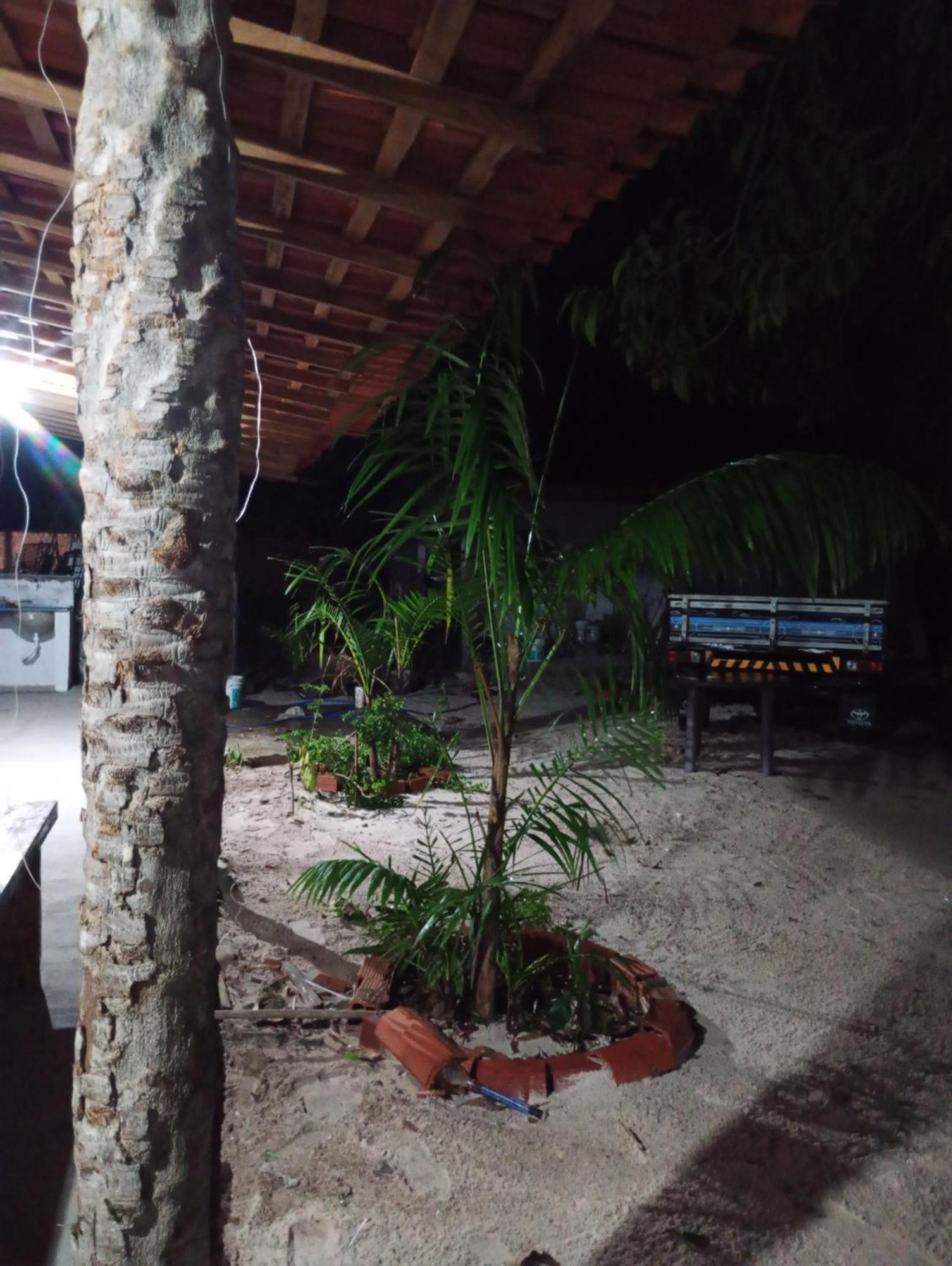 Hostel E Camping Na Rua Das Flores Santo Amaro do Maranhao エクステリア 写真