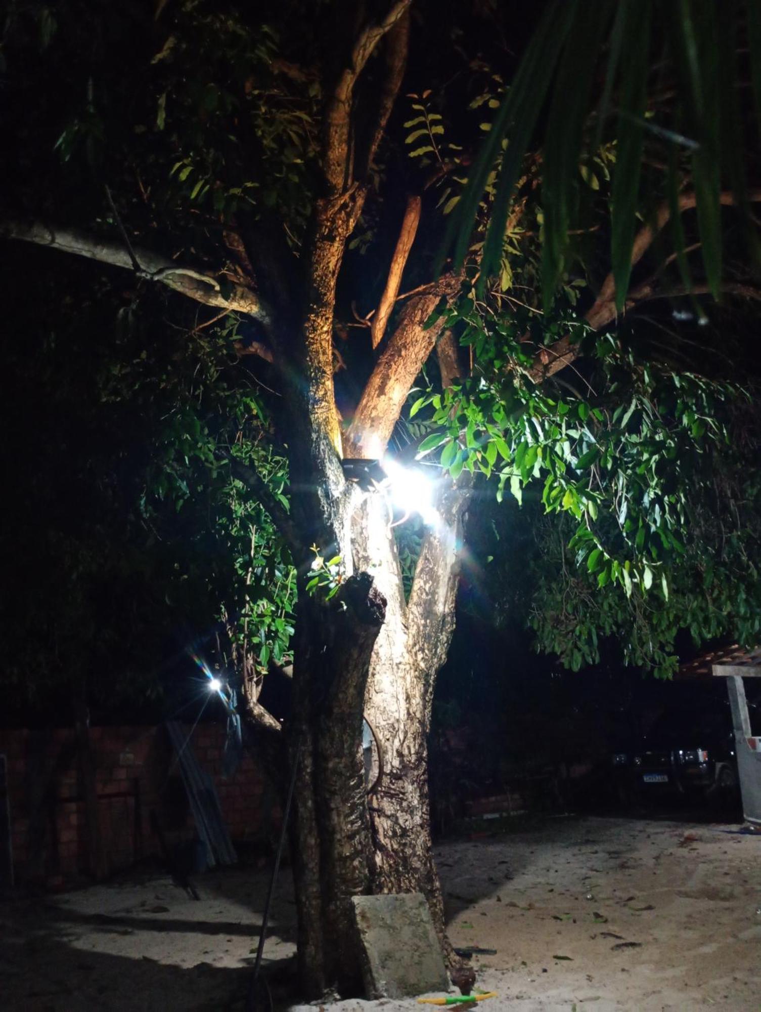 Hostel E Camping Na Rua Das Flores Santo Amaro do Maranhao エクステリア 写真